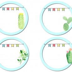 Cactus Temalı Not Defteri Tasarımı: 4 Daire Şekilli Alan, Renkli Bayraklar ve Farklı Kaktüs Çizimleri