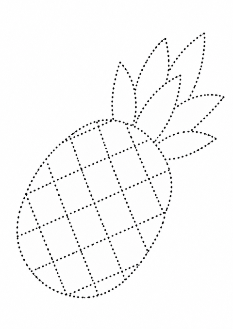 Ananas İllüstrasyonu - Eğitsel Materyal