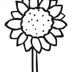 ilkbahar (85).jpg
