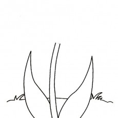 ilkbahar (99).jpg