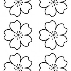 ilkbahar (72).jpg