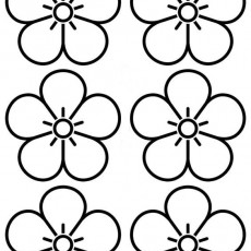 ilkbahar (77).jpg