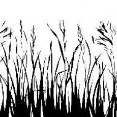 ilkbahar (101).jpg