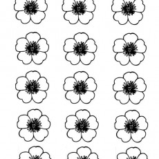ilkbahar (74).jpg