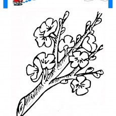 ilkbahar (36).jpg