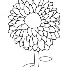 ilkbahar (70).jpg