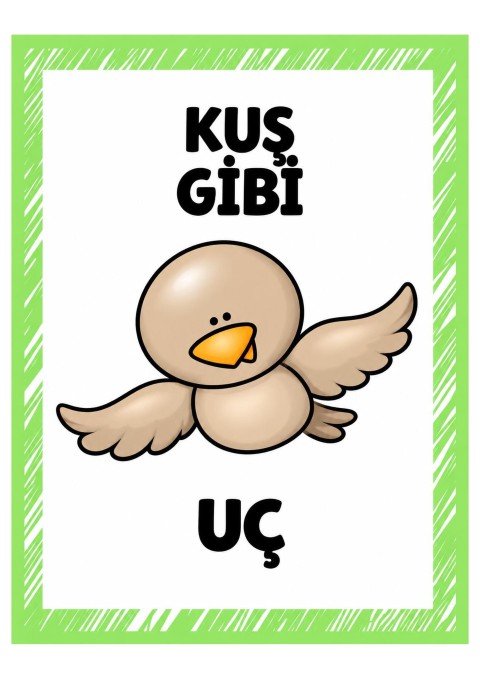 KUS GIBI UÇ - Kuşların Uçuş Özellikleri ile İlgili Eğitim Materyali