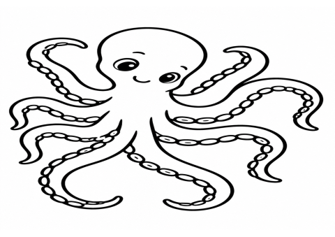 Octopus Illustration - Sekizgendin - Deniz Canlıları Eğitimi