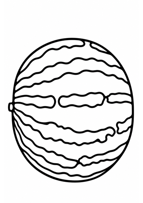 Su Kabağı Çizimi - Melon Illustration