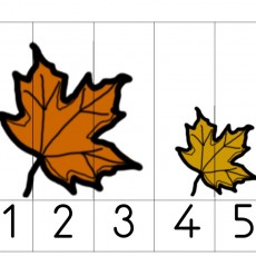 Renkli Yapraklar ve Rakamlar: 1 (BİR), 2 (İKİ), 3 (ÜÇ), 4 (DÖRT), 5 (BEŞ) Eğitimi