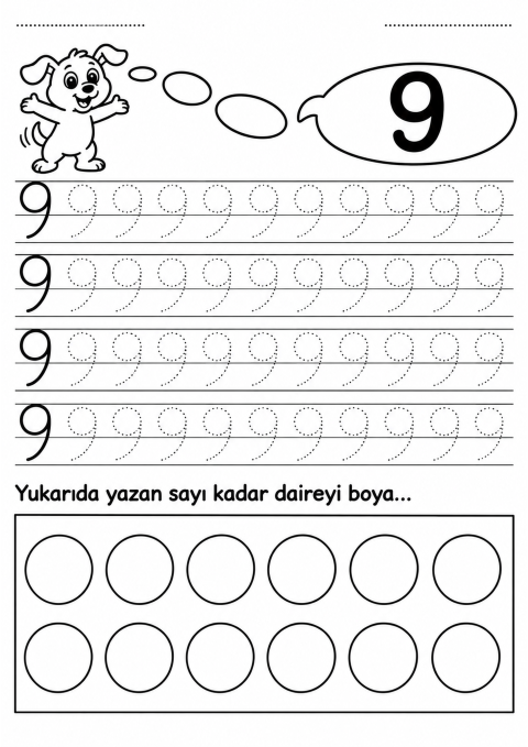 9 Sayısı ve Daire Boyama Uygulaması