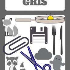 Gri renk