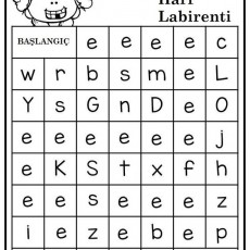 e sesi (3).jpg