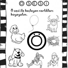 Ö SESİ (2).jpg