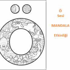Ö SESİ (1)