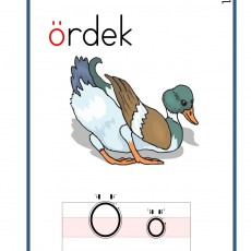 Ö SESİ (14).jpg