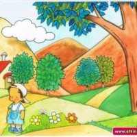 okul öncesinde geometrik,mevsim,renk, hava duygu grafikler (134)