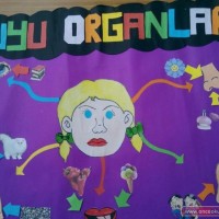 ilgi köşesi, duvar süsü,sanat etkinliği (265)