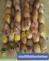 Kuklarlar ve dolgu oyuncaklar (106)