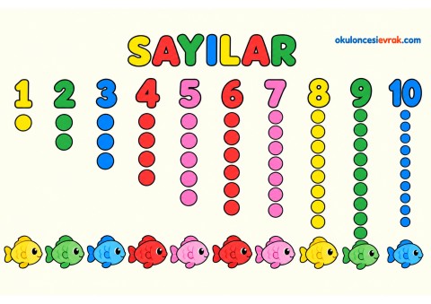 Balıklardan sayı grafiği
