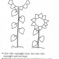 boyama çalişması ,kağit işleri,gelişim dosyası süslemesi,matematık çalişması ,atatürk köşesi (345)