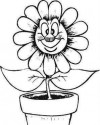Çiçekler (17)