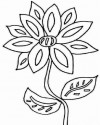 Çiçekler (19)