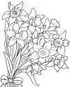 Çiçekler (30)