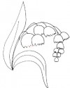 Çiçekler (31)