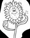 Çiçekler (34)