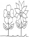 Çiçekler (39)