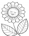 Çiçekler (43)