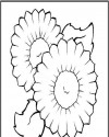 Çiçekler (49)