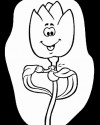 Çiçekler (56)