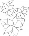 Çiçekler (62)