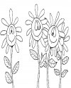 Çiçekler (68)