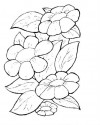 Çiçekler (69)