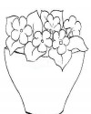 Çiçekler (7)