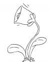Çiçekler (70)