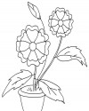 Çiçekler (75)