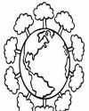 Çiçekler (83)