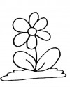 Çiçekler (86)