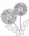 Çiçekler (9)