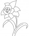 Çiçekler (96)
