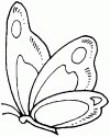 Kelebek- butterfly (1)