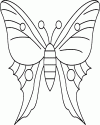 Kelebek- butterfly (2)
