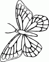 Kelebek- butterfly (4)