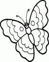 Kelebek- butterfly (6)
