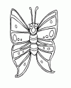 Kelebek- butterfly (7)