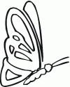 Kelebek- butterfly (8)